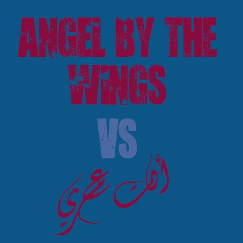 Angle By The Wings & Enta Omry (sia & carmen soliman) by sheriff mohamed
