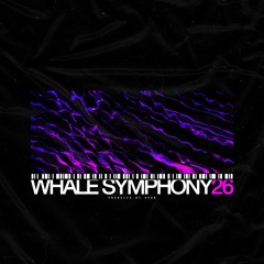 Avum - Whale Symphony