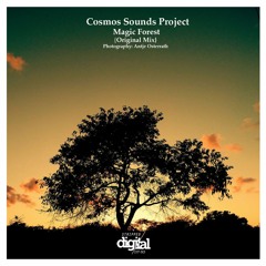 Cosmos Sounds Project - Magic Forest {Original Mix} Stripped Digital