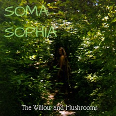 The Willow And Mushrooms