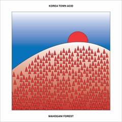 Mahogani Forest EP - Korea Town Acid (Preview)
