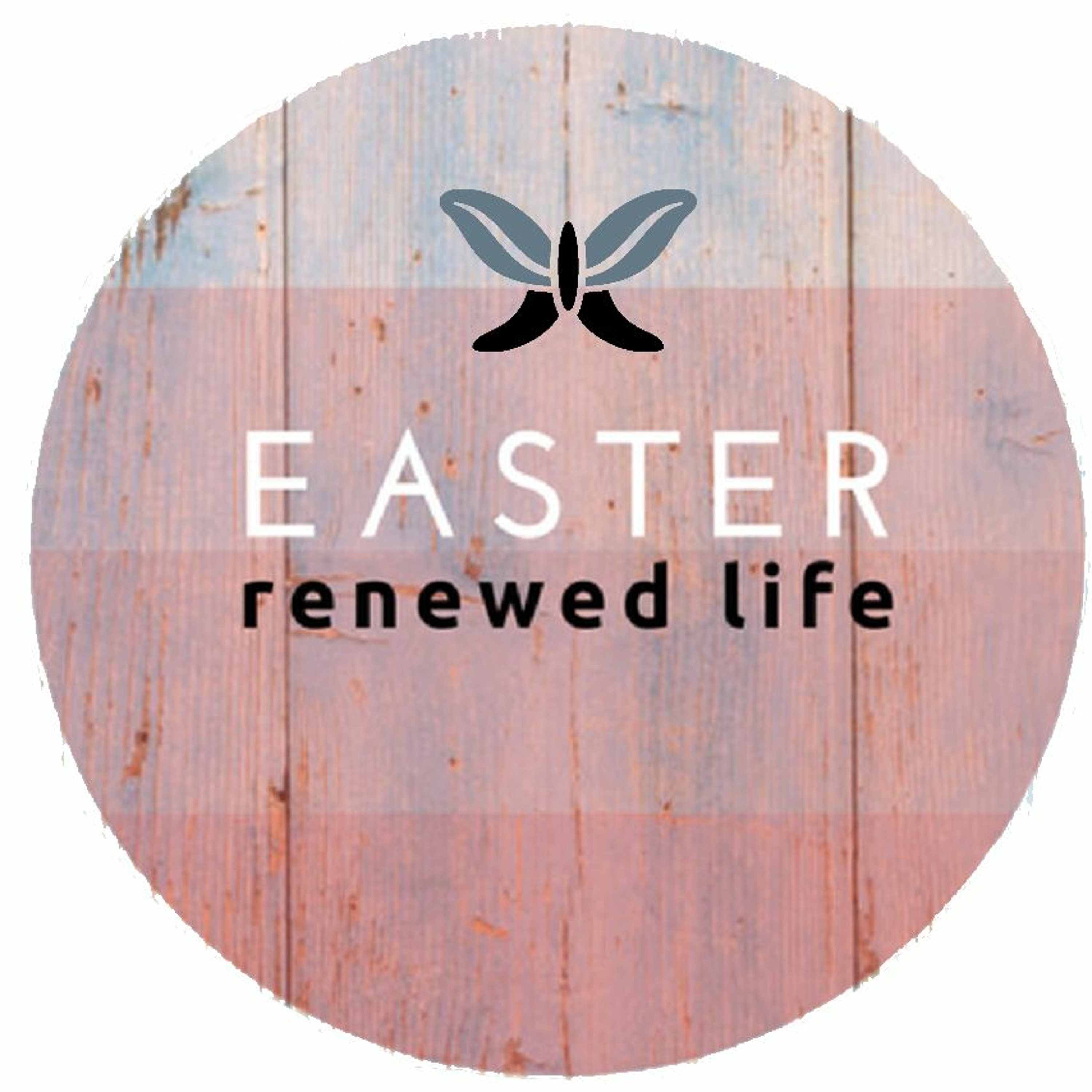 Easter Morning: "Go To Galilee" by Dave Sim || Mark 16:1-8 || Easter 2018 episode artwork