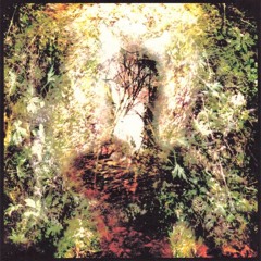 Matt Shoemaker & Eric Lanzillotta 4/25/05 @ mshoehome [Excerpt]