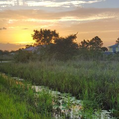 Pierre - Ryn Weaver cover