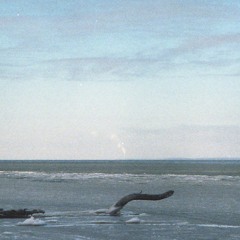 nothing can stop me now