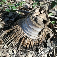 135bpm freestyle KOASSILATOR