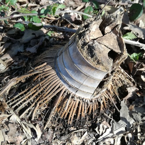 135bpm freestyle KOASSILATOR