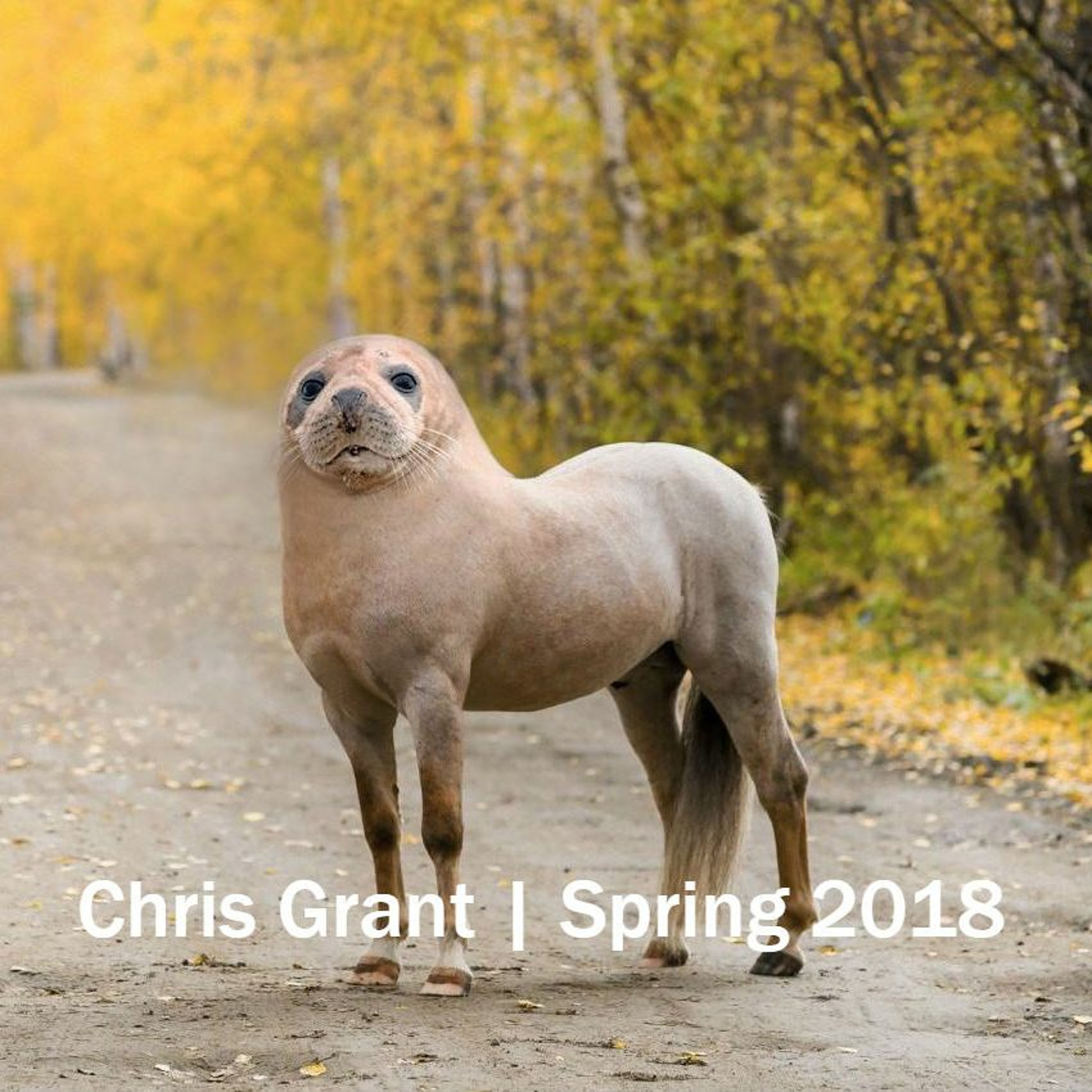 CHRIS GRANT : Mixes n Things