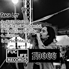 P.D0GG - Rhythmical FundamentaL