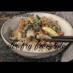 Stir Fry Freestyle