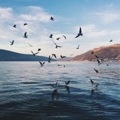 الجمال - حديقة الحقيقة-دكتور أحمد الخليع