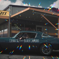 Black Camaro +++