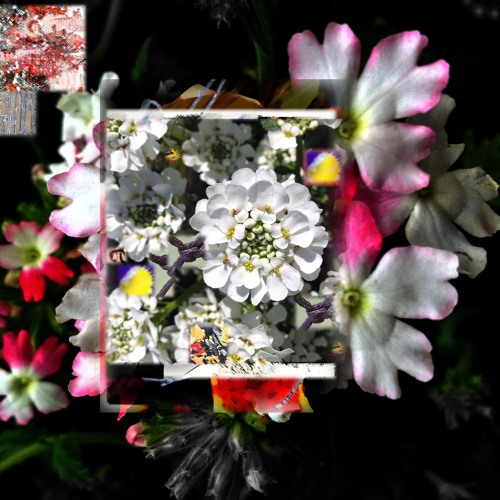 Stream Open House by Mr. Andrew's Garden Listen online for free on