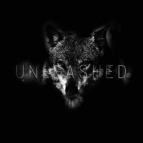 Unleashed