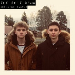 THE SHIT DEMO