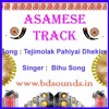 Tejimolak Pahiyai Dhekire Khundisil Jenekoi Karaoke Assamese Bihu Mp3