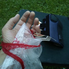 America's Dying. Music/Mark Dorshak - Vocals/Sun Wu Kong