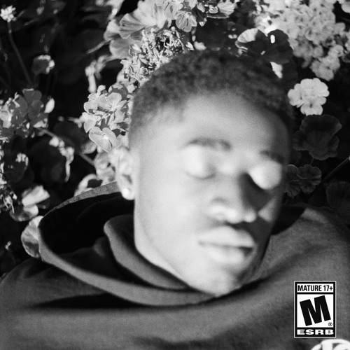 Lover (prod. Martin Sole)
