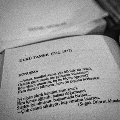 Konusma_ulkutamer.MP4