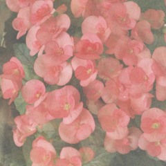 26 - Paramore (cover)