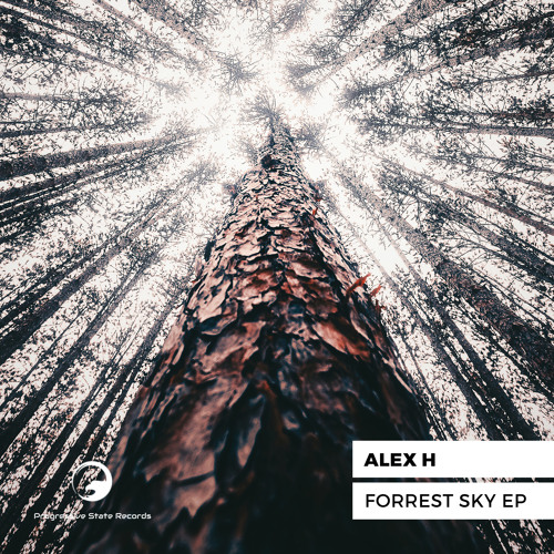 Alex H - Forrest Sky