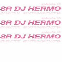 PALMcast010 - SR DJ HERMO