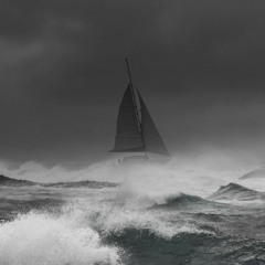 Even Keel... Firm Tiller  conover/CRISPINO