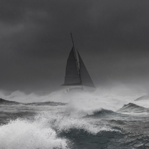 Even Keel... Firm Tiller  conover/CRISPINO