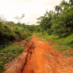 Amazon/Perú recordings