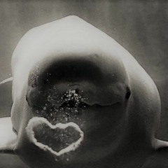 ~ Mystiq~ ;) Let me Blow you Some Loveeeee..