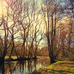 Feez [Free Download]