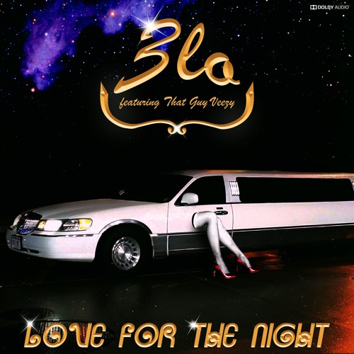 Love For The Night (feat. That Guy Veezy)