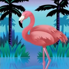 MUSIC By SFÏN - Pink Flamingoes and Palmtrees