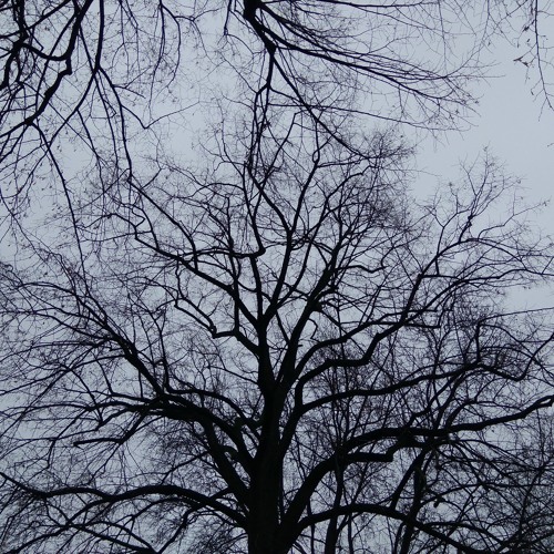 Longing for something Unknown - Advaya & La Deo