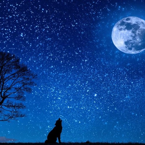 종이심장, 까만별과 하얀밤 속 거품당신 -HERMES