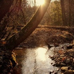 Stream