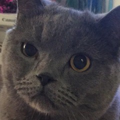 Drama