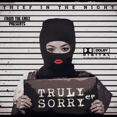 Thief In The Night - Truly Sorry (UKG Mix)