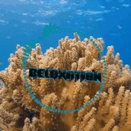 Underwater Odyssey