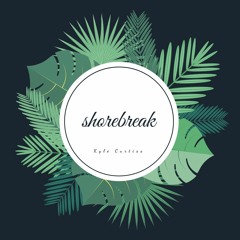 shorebreak