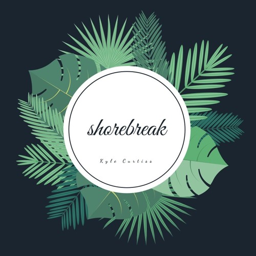 shorebreak