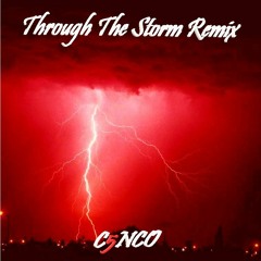Through The Storm (Prod. by Prince The Producer)