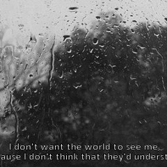 I Dont Want The World To See Me Because I Dont Think That They Understand