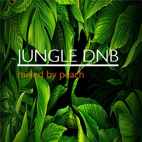 Stream Jungle DnB Mix by Peach | Listen online for free on SoundCloud