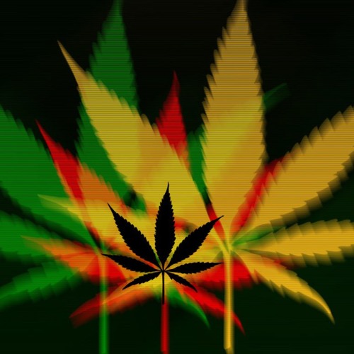 Pitch - Ghost Of Persia