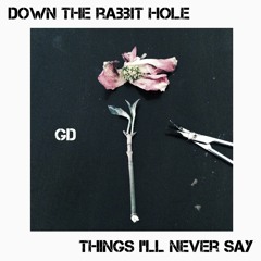 Down The Rabbit Hole (Things I'll Never Say)