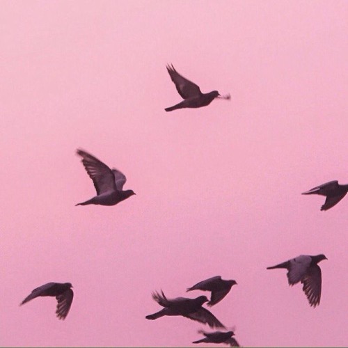 MISSIO – Bottom of the Deep Blue Sea (Dat Morlan's redo)