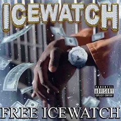 ICE WATCH - COURTSIDE ICE WATCH
