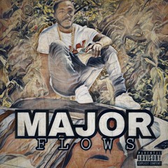 Ted - Major Flows