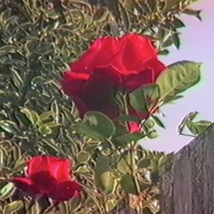 Crescent Prod. Franky M